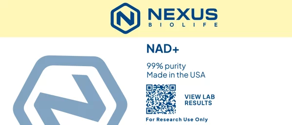 NAD+ - Image 2